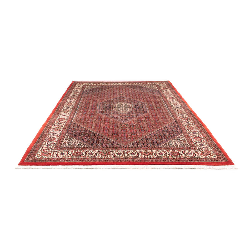 Bidjar - Takab Teppe 310x205cm - Persisk teppe