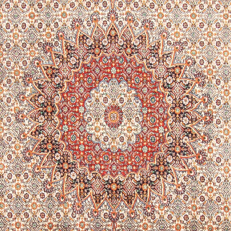 Moud Teppe 299x198cm - Persisk teppe