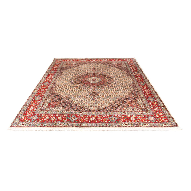 Moud Teppe 299x198cm - Persisk teppe