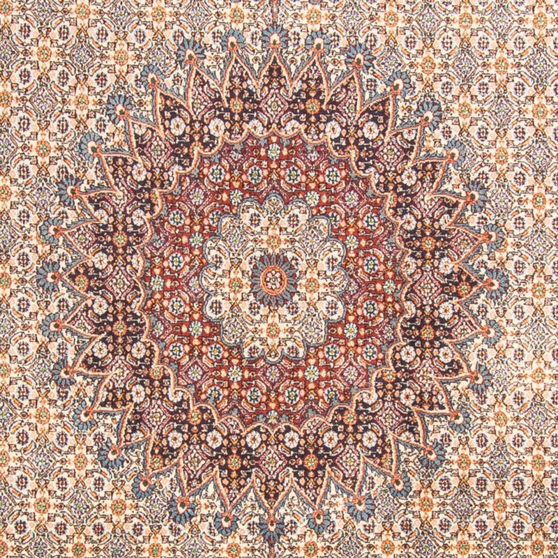 Moud Teppe 290x195cm - Persisk teppe