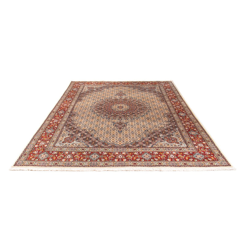 Moud Teppe 290x195cm - Persisk teppe