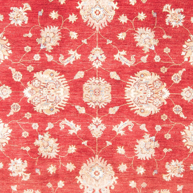 Ziegler Teppe 258x182cm - Orientalsk teppe