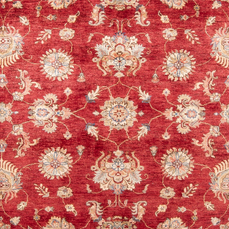 Ziegler Teppe 298x209cm - Orientalsk teppe