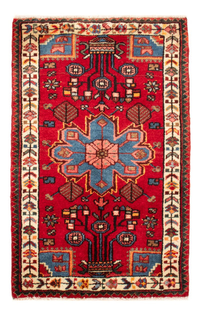Tuserkan Teppe 54x88cm - Persisk teppe