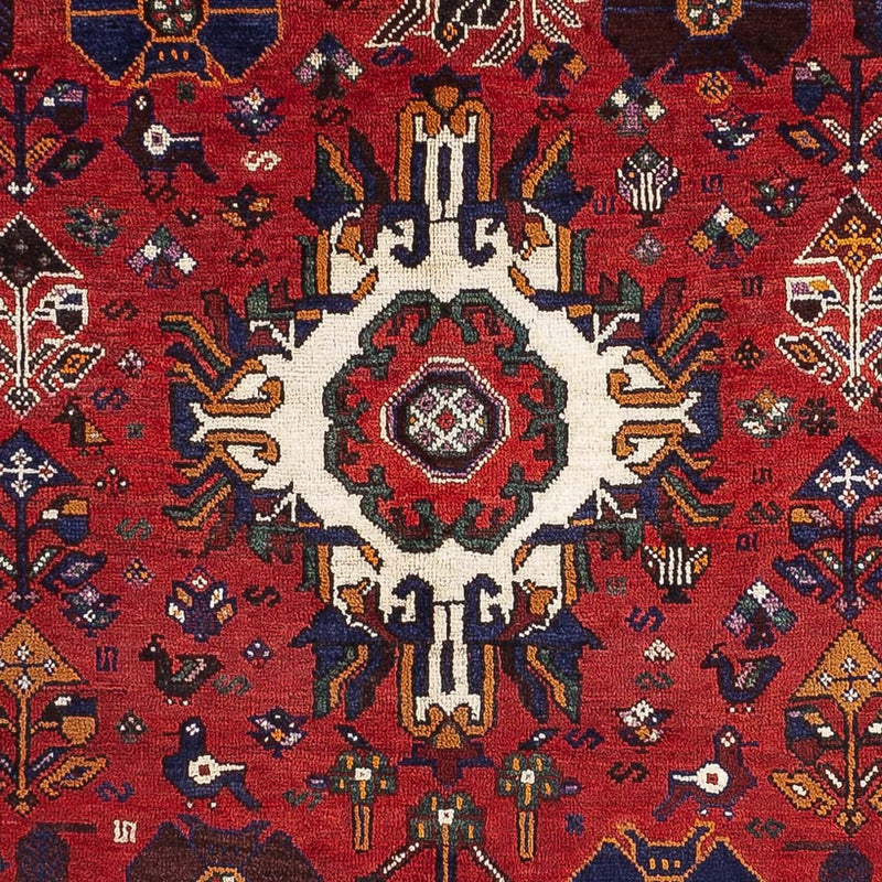Qashqai Teppe 245x156cm - Persisk teppe