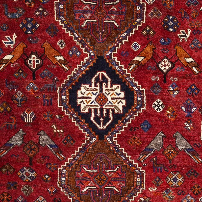 Qashqai Teppe 259x162cm - Persisk teppe