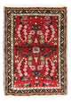 Hamadan Teppe 70x50cm - Persisk teppe