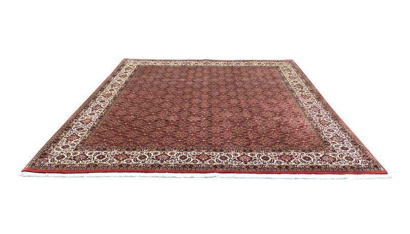 Persisk teppe - Bijar - 301 x 256 cm - brun