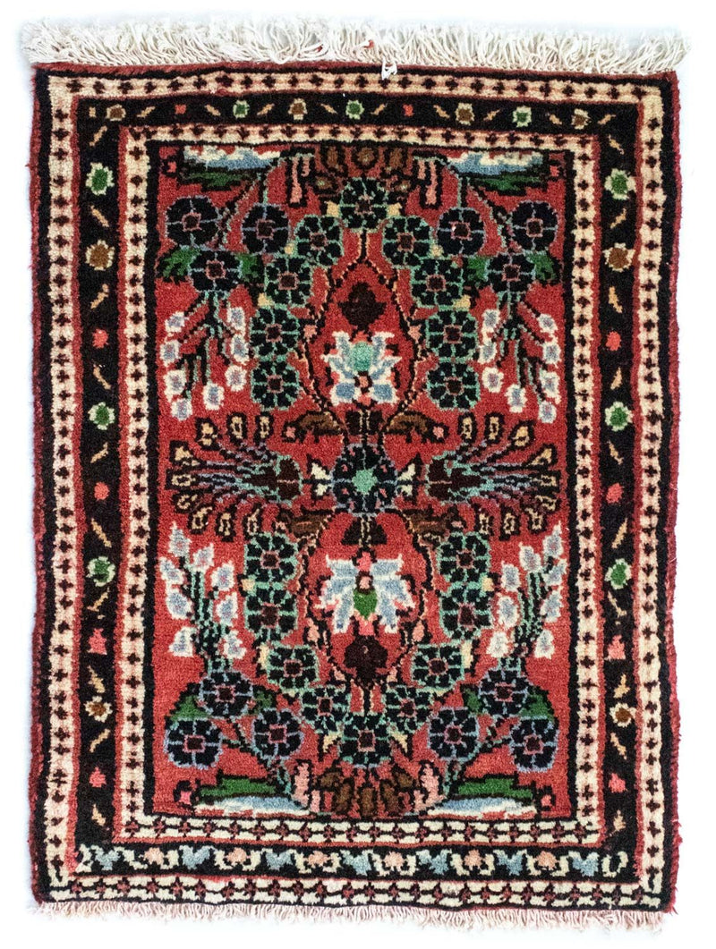Hamadan Teppe 65x50cm - Persisk teppe