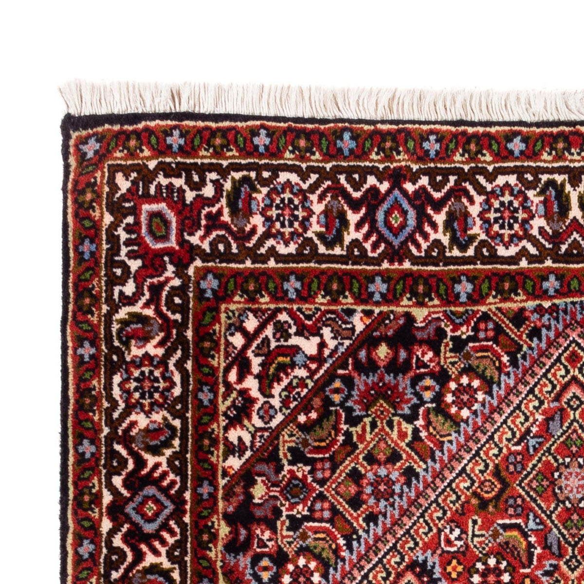 Bidjar - Bukan Teppe 70x106cm - Persisk teppe
