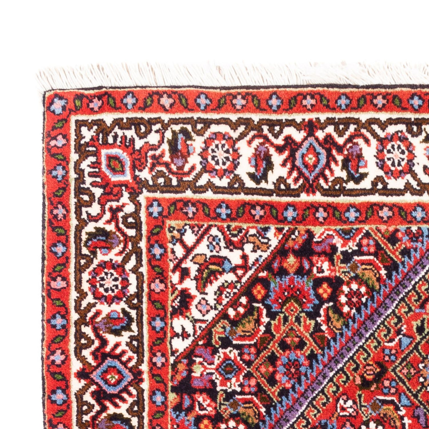 Bidjar - Bukan Teppe 100x70cm - Persisk teppe