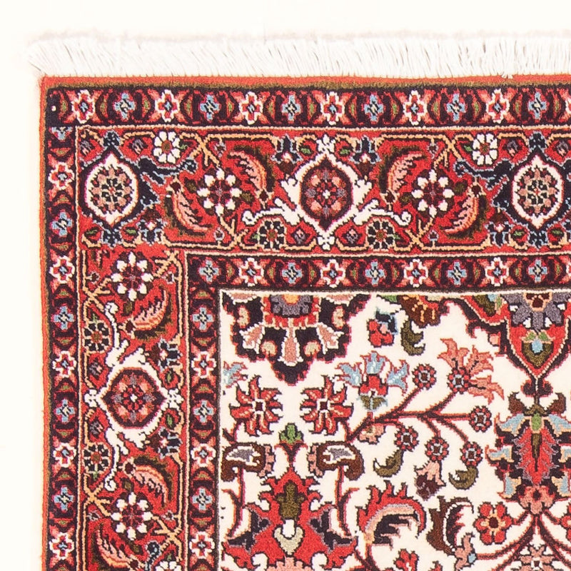 Bidjar - Bukan Teppe 84x142cm - Persisk teppe - beige