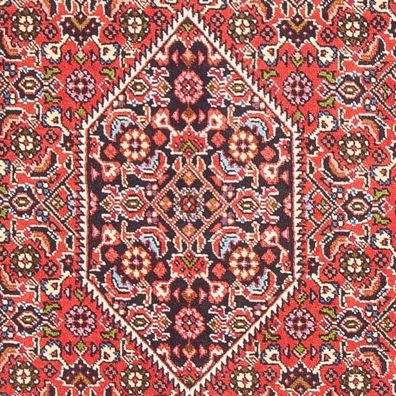 Bidjar - Bukan Teppe 82x152cm - Persisk teppe - rød