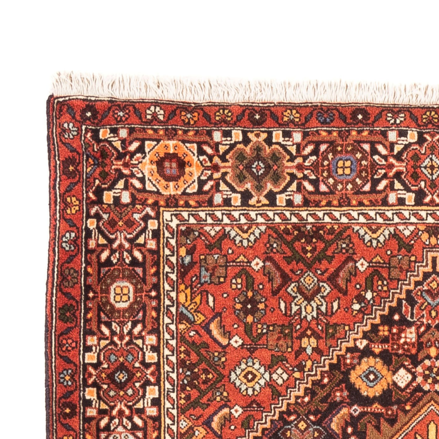 Gholtogh Teppe 152x100cm - Persisk teppe
