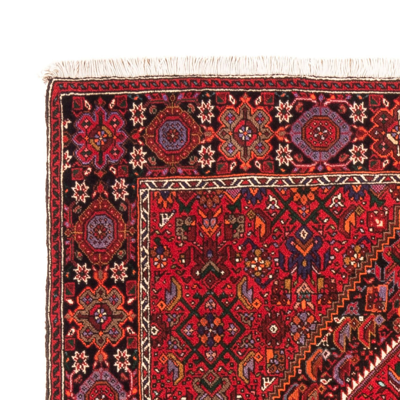Gholtogh Teppe 150x105cm - Persisk teppe