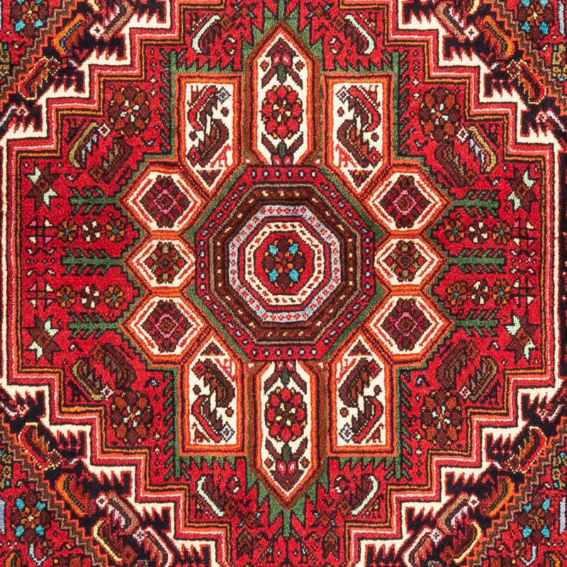 Gholtogh Teppe 157x100cm - Persisk teppe