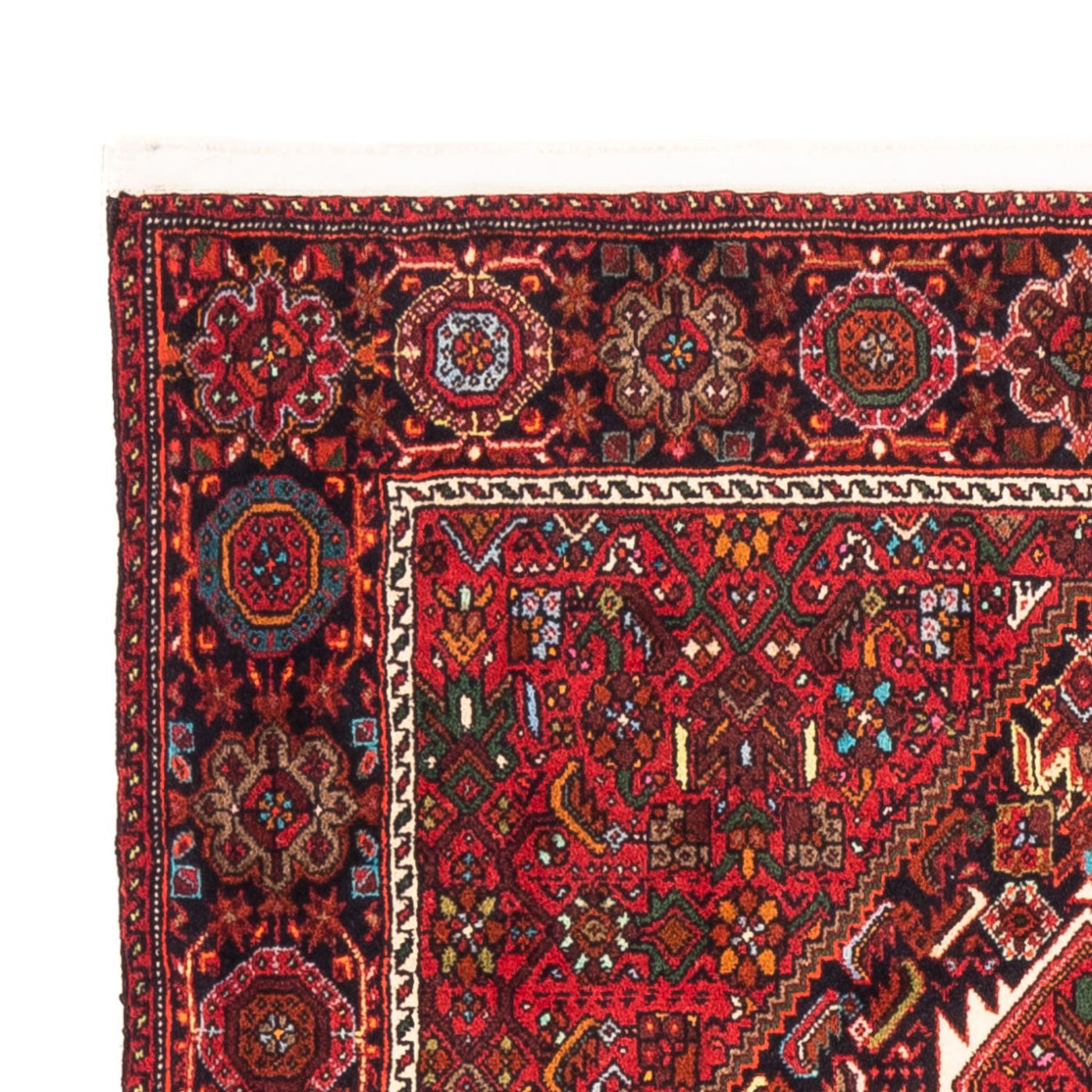 Gholtogh Teppe 157x100cm - Persisk teppe