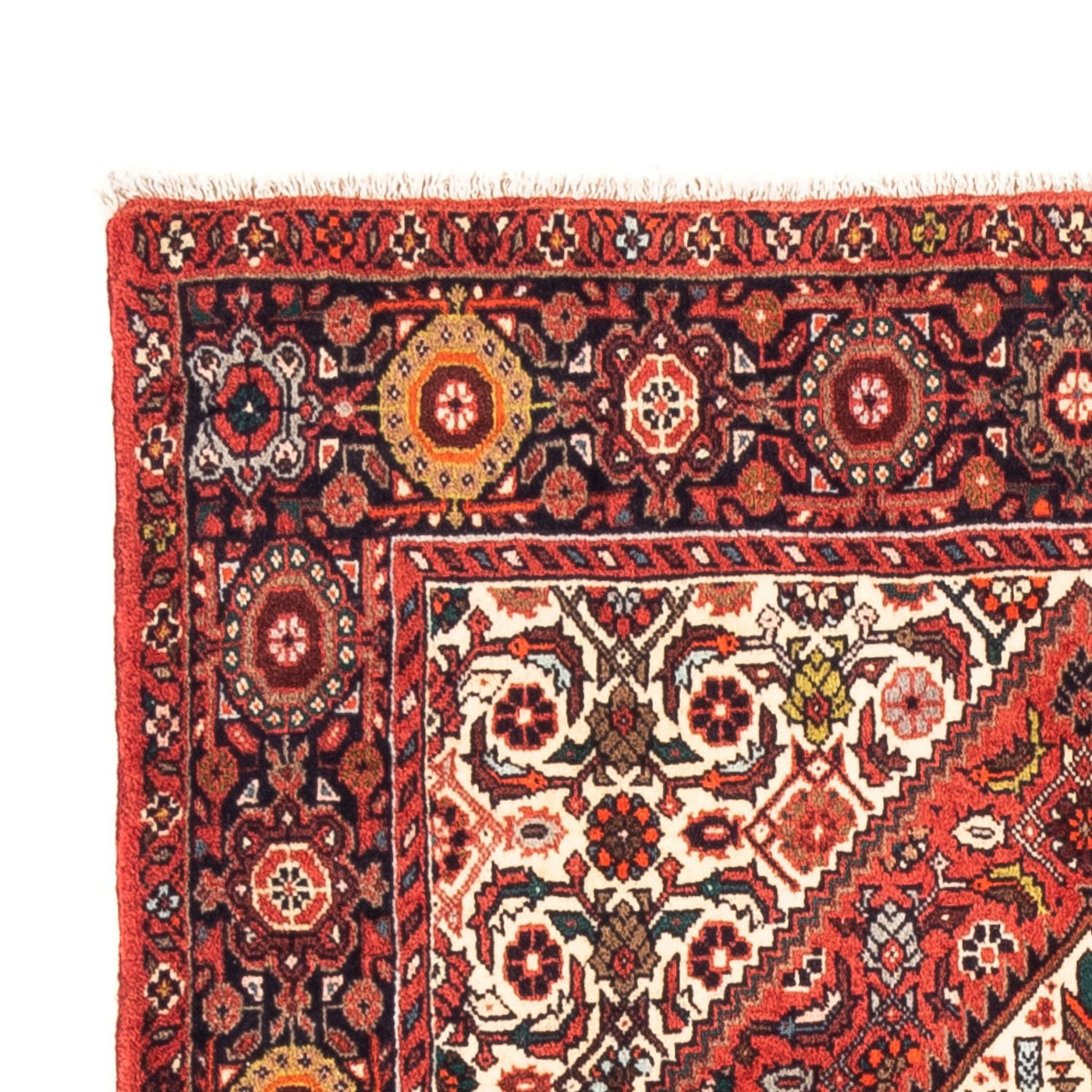 Gholtogh Teppe 159x105cm - Persisk teppe