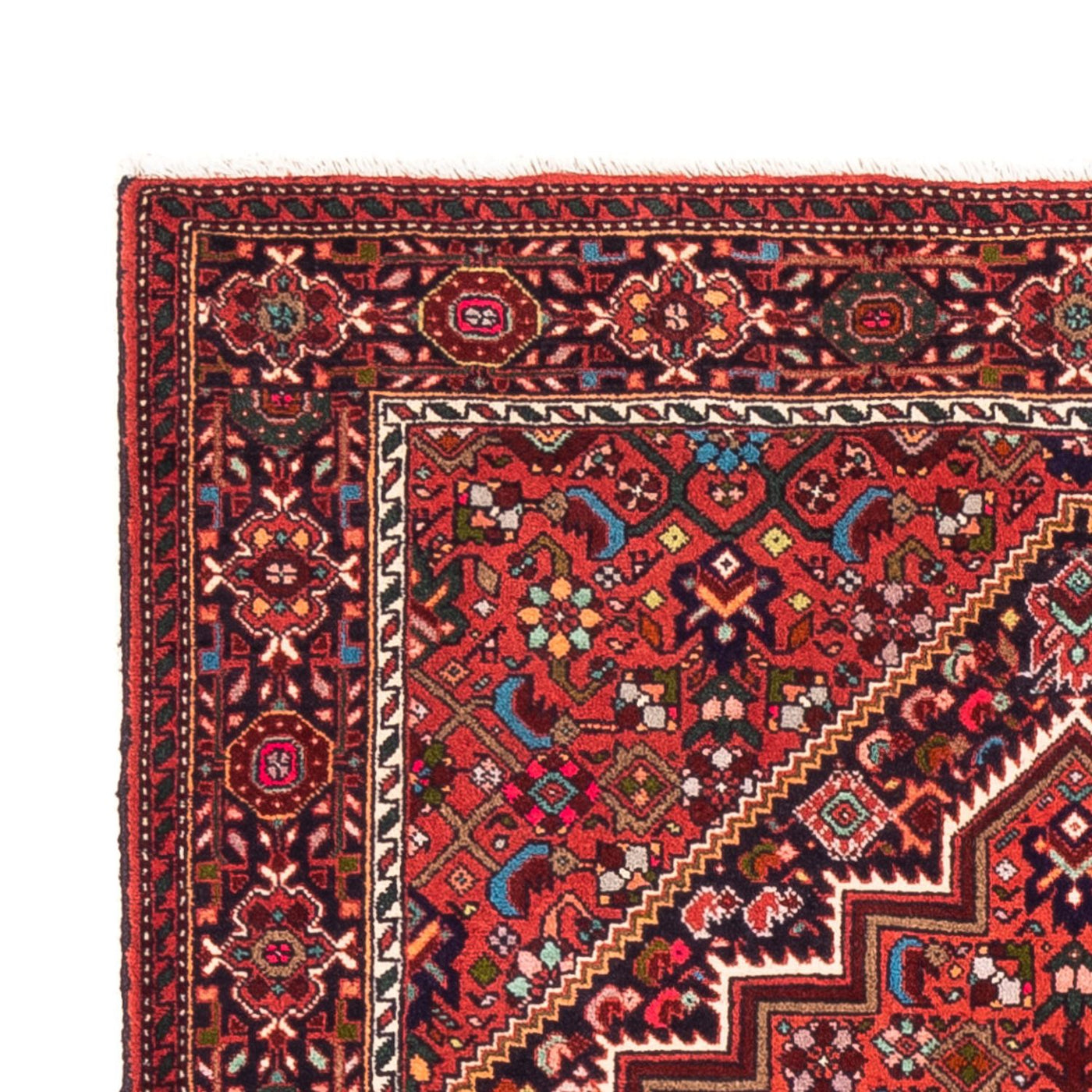 Gholtogh Teppe 150x100cm - Persisk teppe