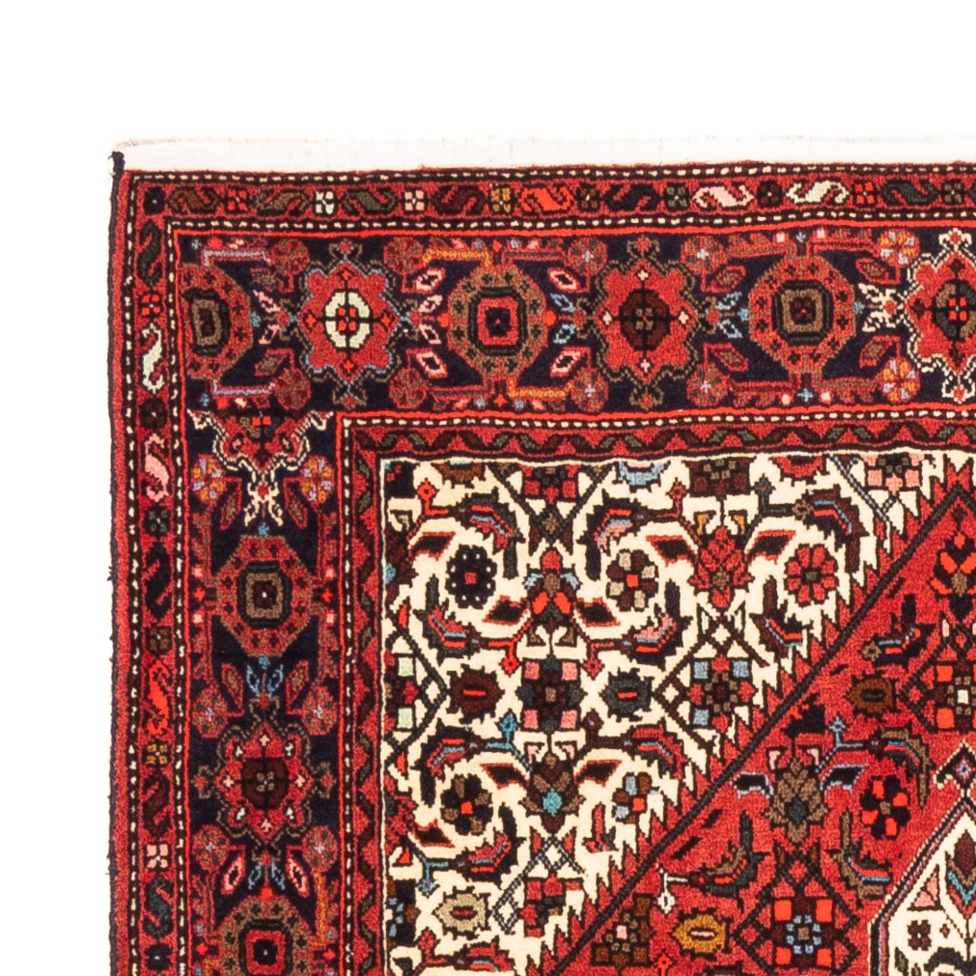 Gholtogh Teppe 152x101cm - Persisk teppe