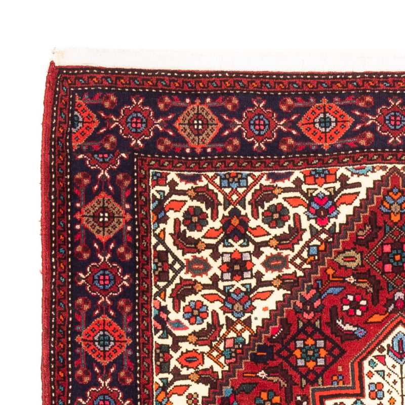 Gholtogh Teppe 148x100cm - Persisk teppe