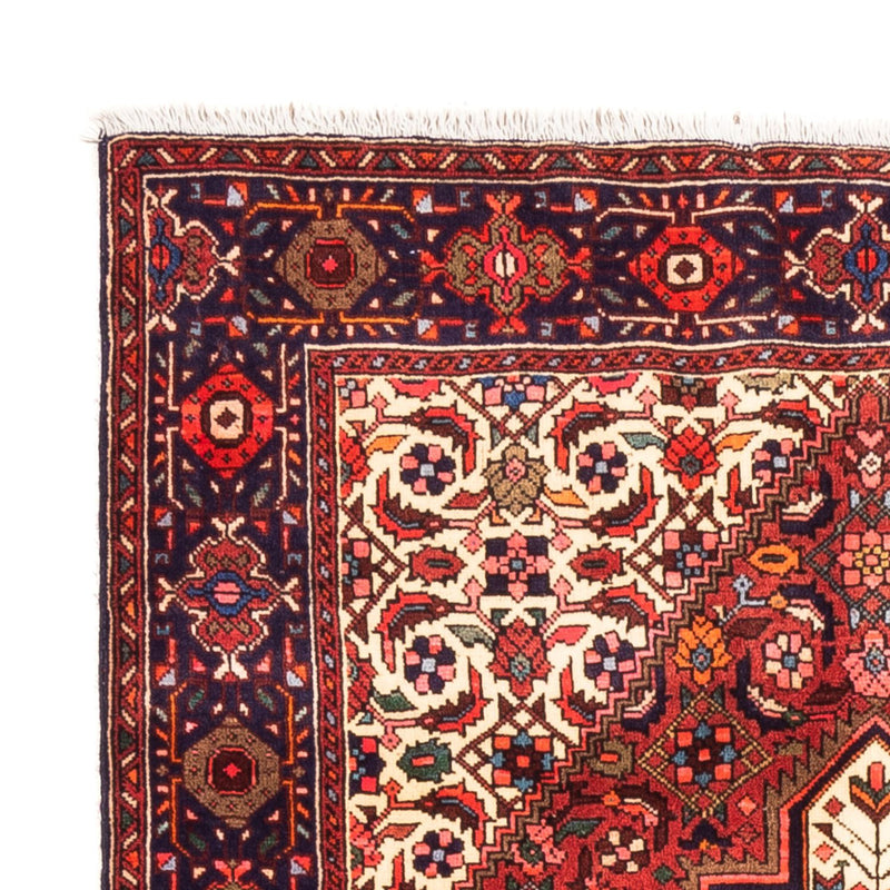 Gholtogh Teppe 150x100cm - Persisk teppe