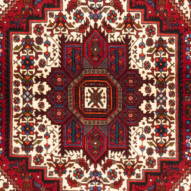 Gholtogh Teppe 155x100cm - Persisk teppe