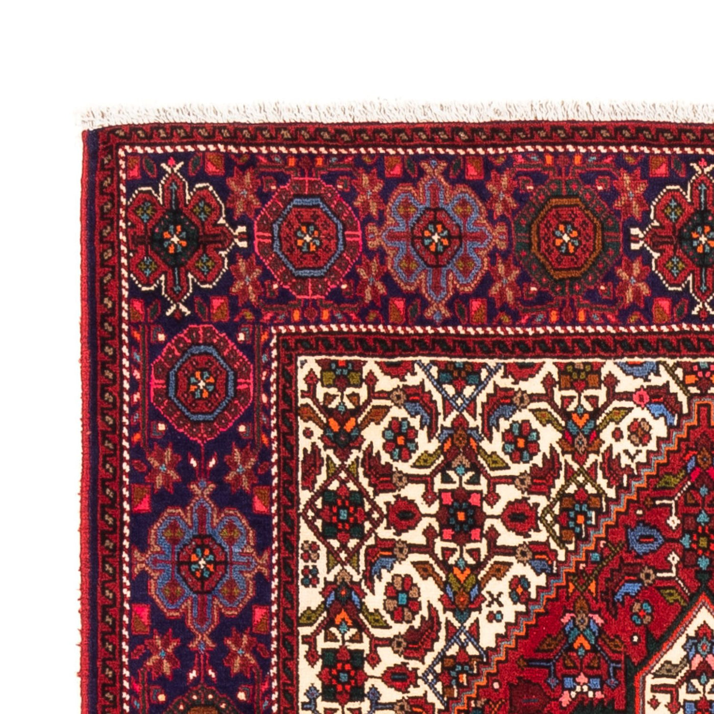 Gholtogh Teppe 155x100cm - Persisk teppe
