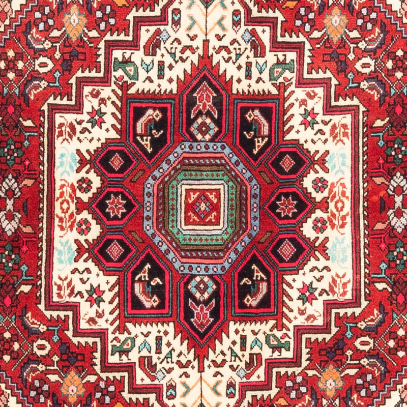 Gholtogh Teppe 152x102cm - Persisk teppe