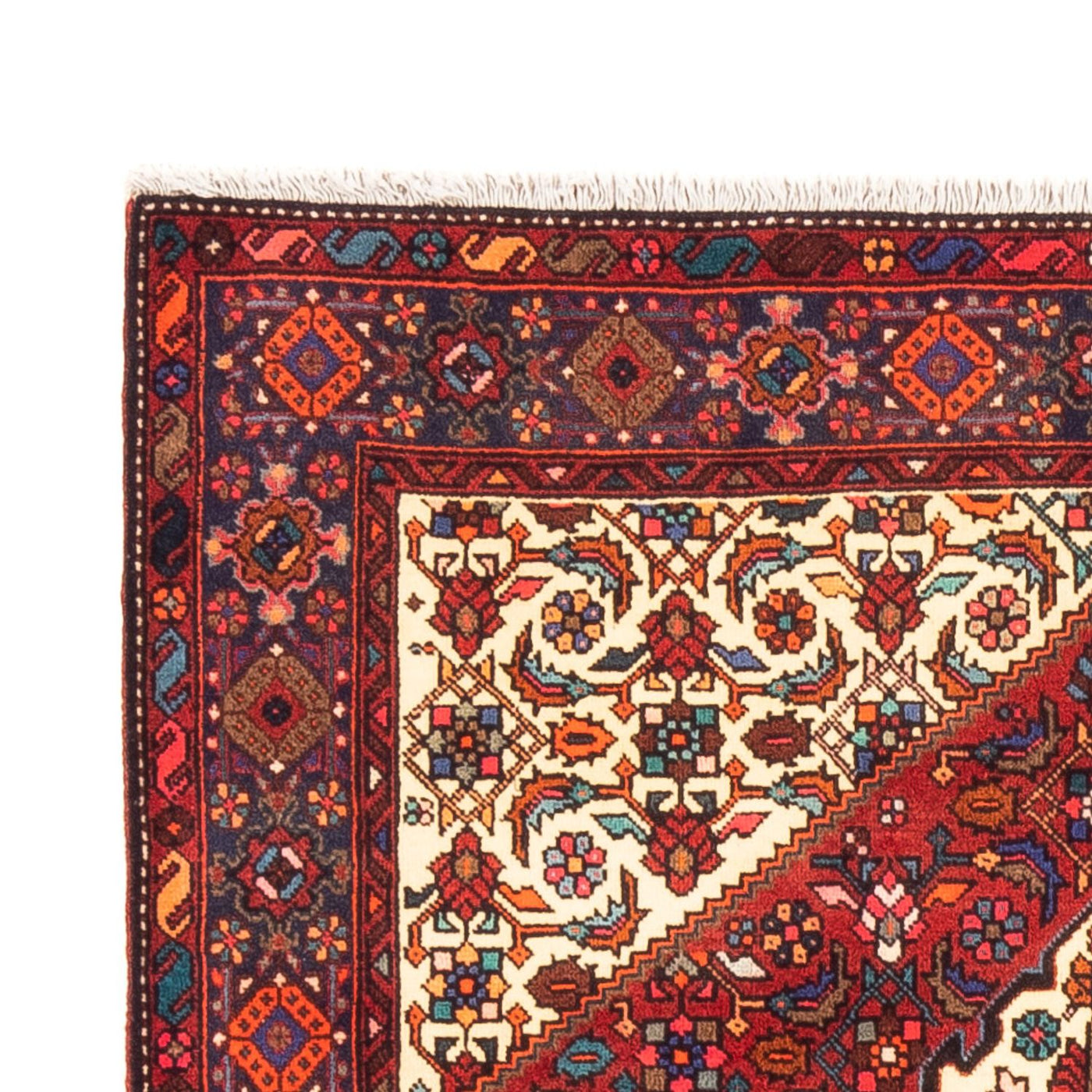 Gholtogh Teppe 155x100cm - Persisk teppe