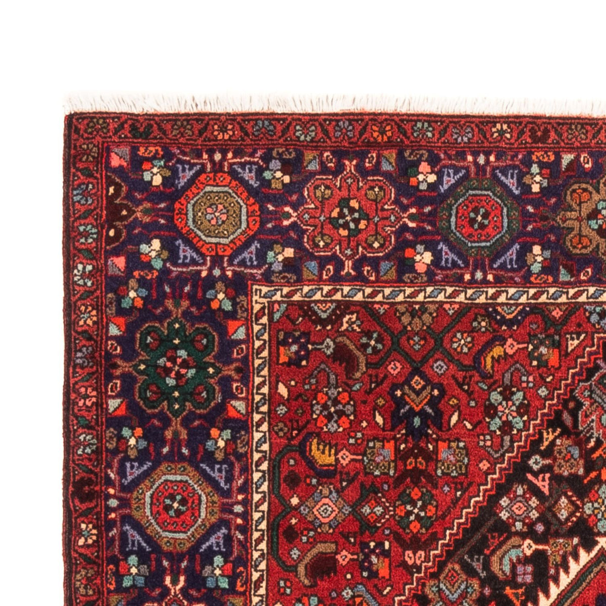 Gholtogh Teppe 100x152cm - Persisk teppe
