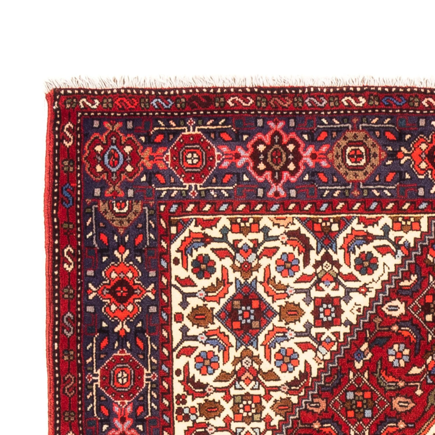 Gholtogh Teppe 155x100cm - Persisk teppe