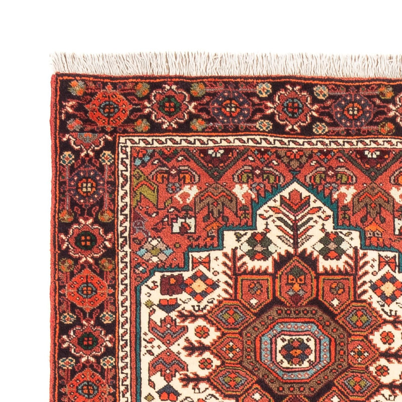 Gholtogh Teppe 60x175cm - Persisk teppe