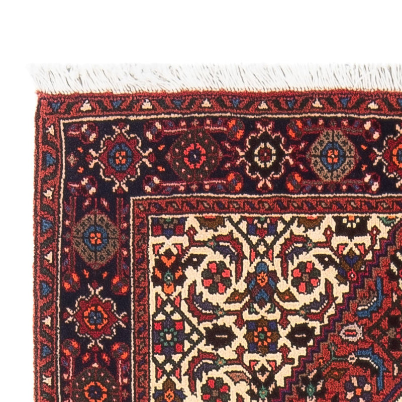 Gholtogh Teppe 150x70cm - Persisk teppe