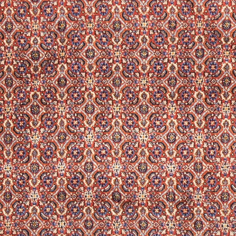 Moud Teppe 247x202cm - Persisk teppe