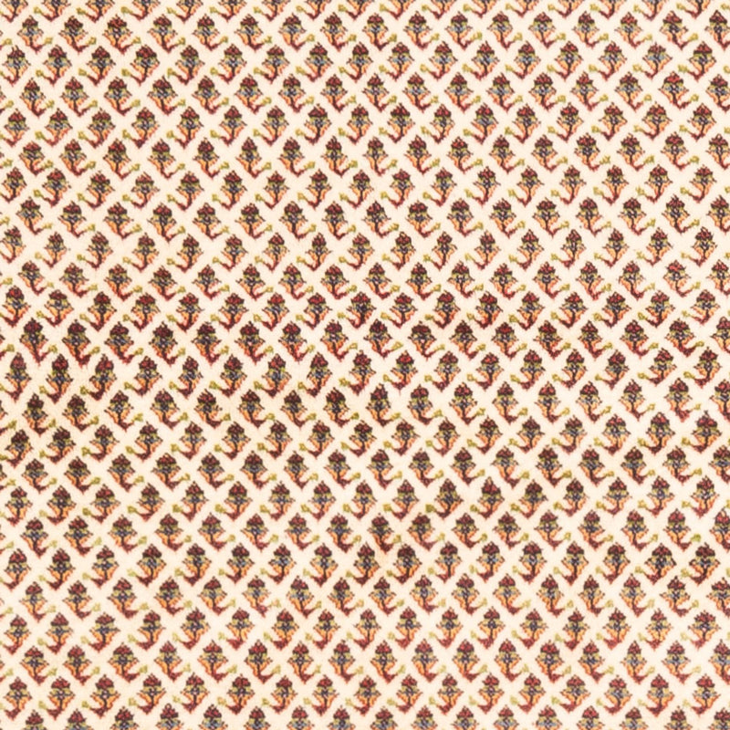Mir Teppe 250x210cm - Persisk teppe