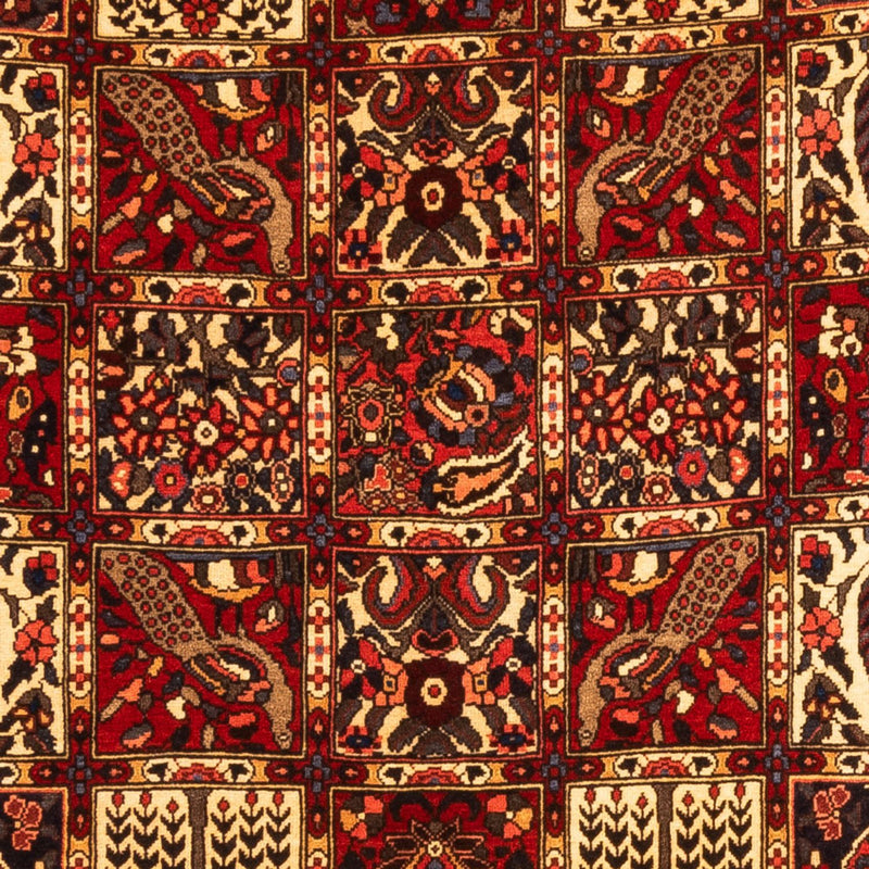 Bakhtiari Teppe 243x150cm - Persisk teppe