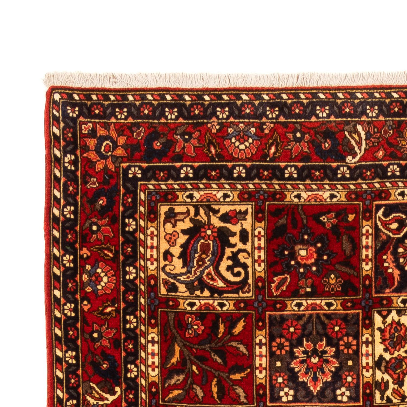 Bakhtiari Teppe 243x150cm - Persisk teppe