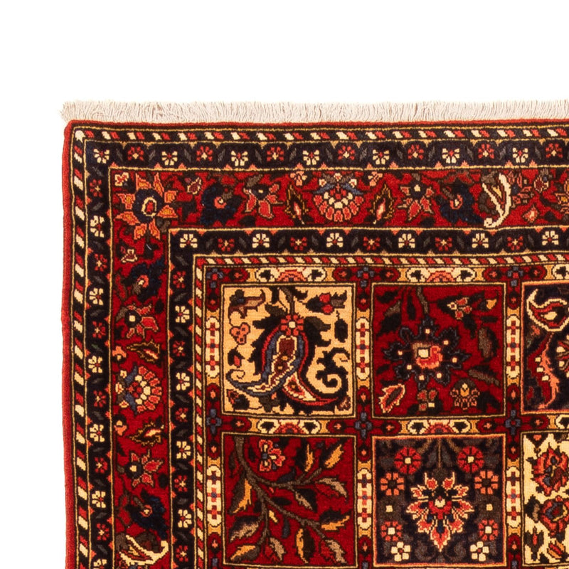 Bakhtiari Teppe 243x150cm - Persisk teppe
