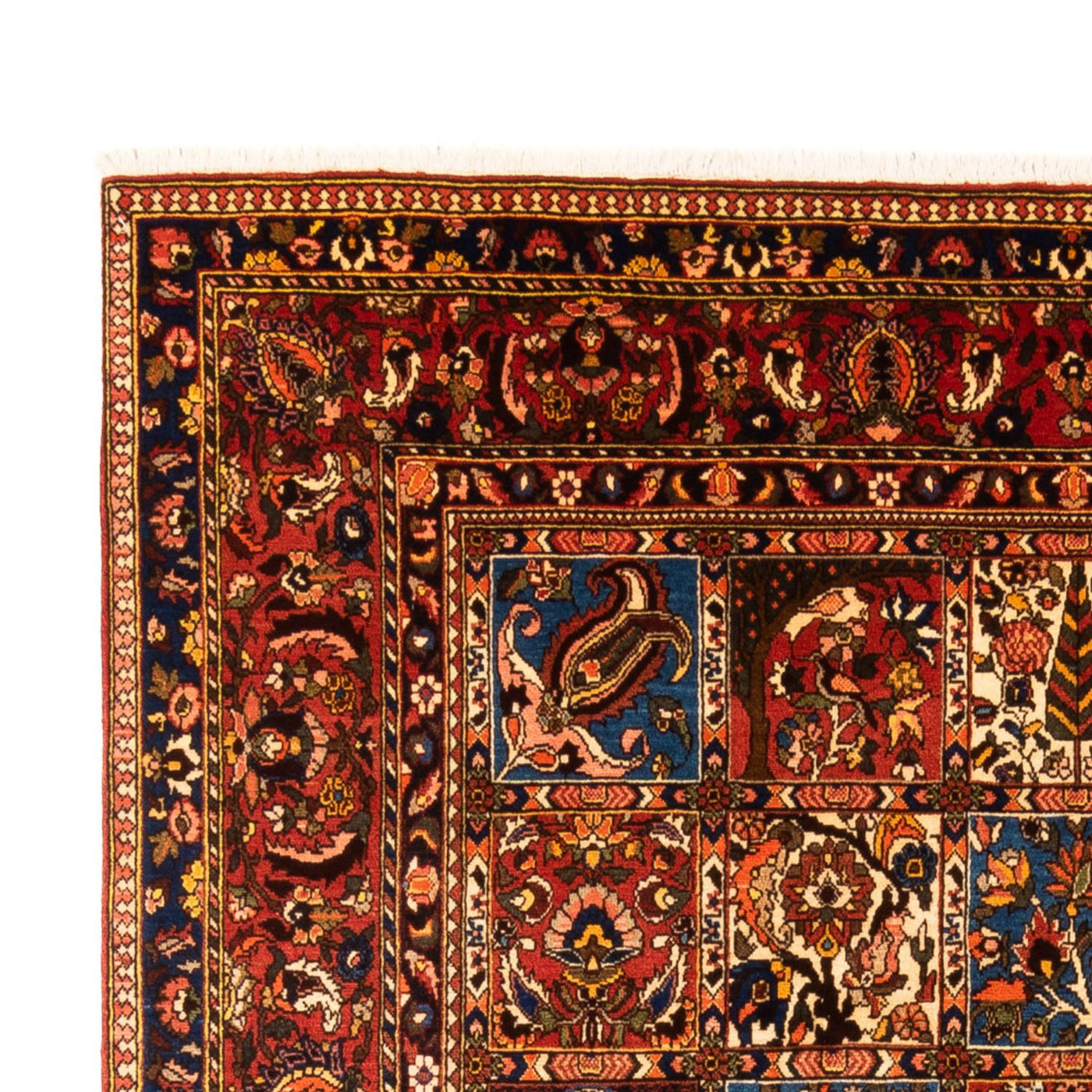 Bakhtiari Teppe 303x202cm - Persisk teppe