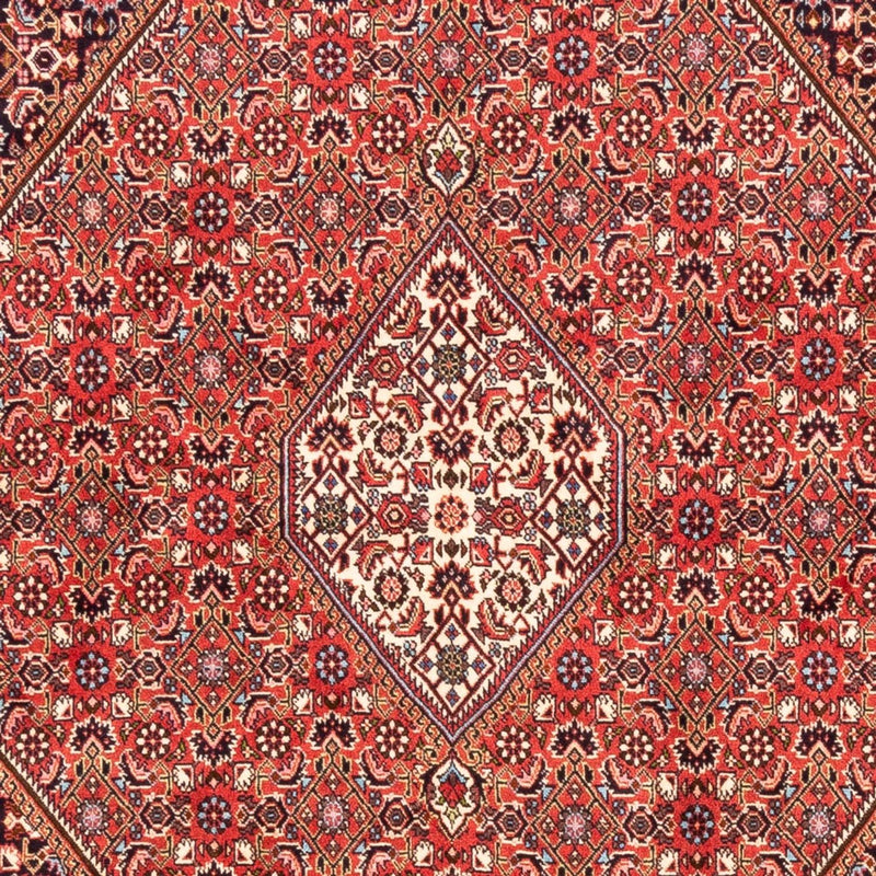 Bidjar - Bukan Teppe 171x232cm - Persisk teppe