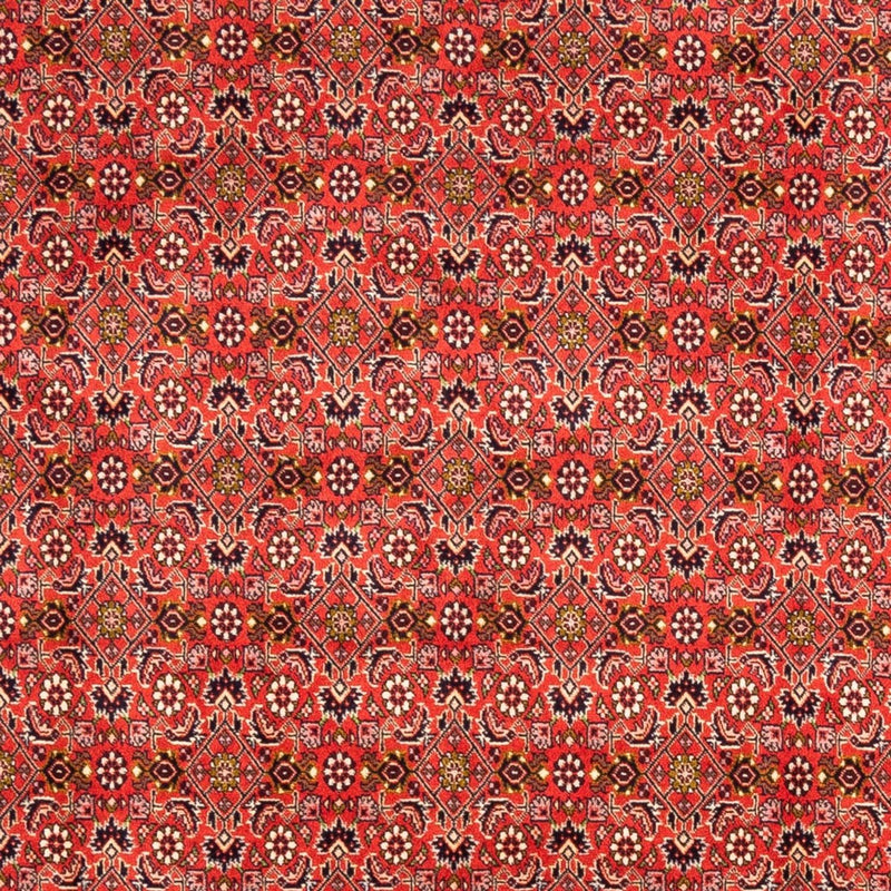 Bidjar - Bukan Teppe 242x168cm - Persisk teppe