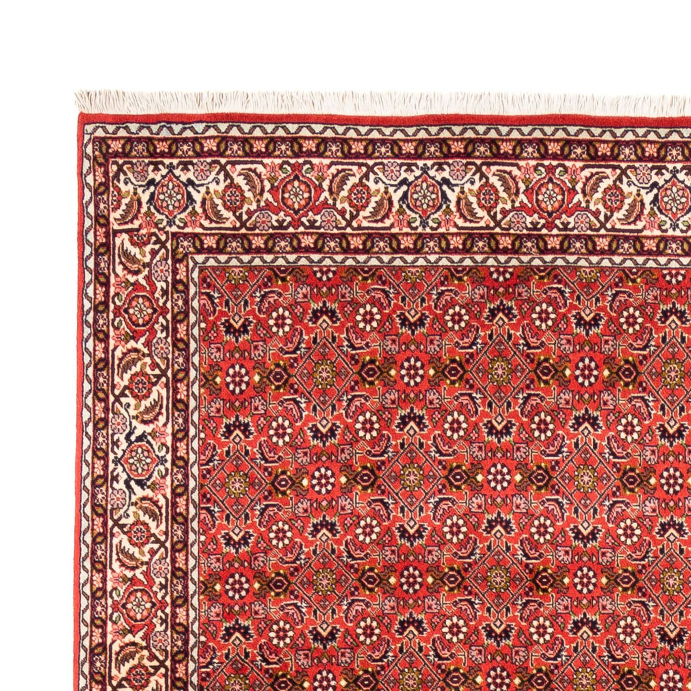 Bidjar - Bukan Teppe 242x168cm - Persisk teppe