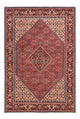 Bidjar - Bukan Teppe 247x171cm - Persisk teppe
