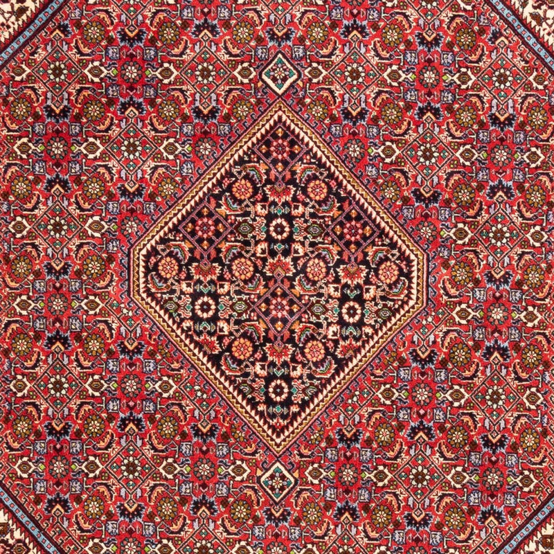 Bidjar - Bukan Teppe 247x171cm - Persisk teppe