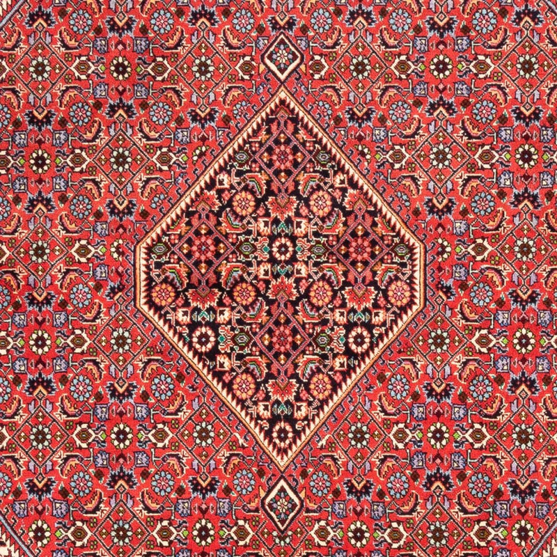 Bidjar - Bukan Teppe 245x170cm - Persisk teppe