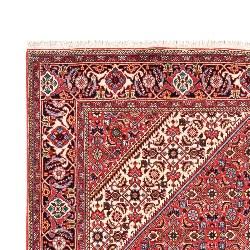 Bidjar - Bukan Teppe 245x170cm - Persisk teppe