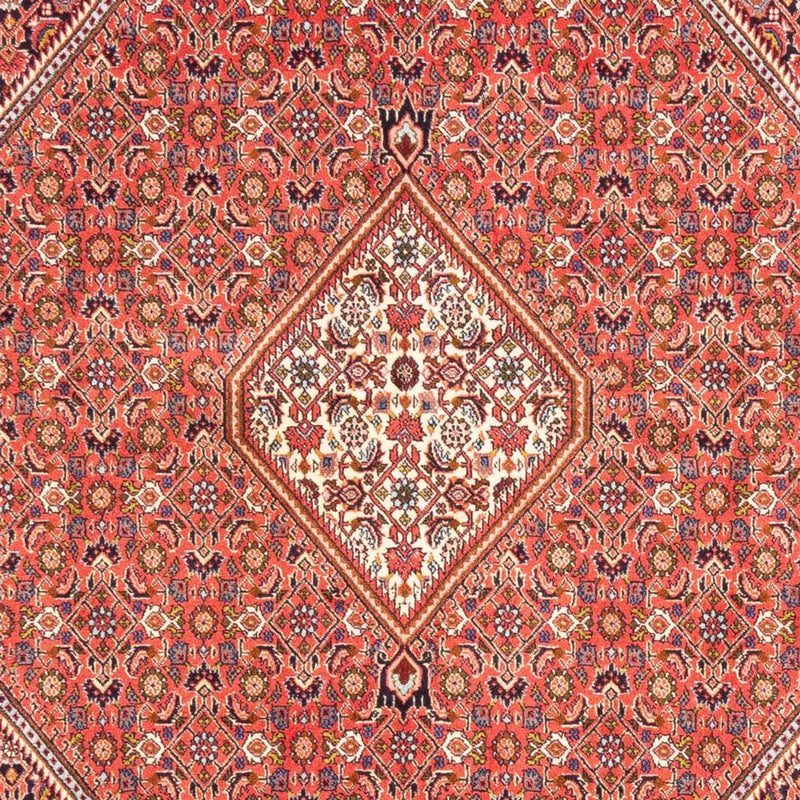 Bidjar - Bukan Teppe 244x168cm - Persisk teppe