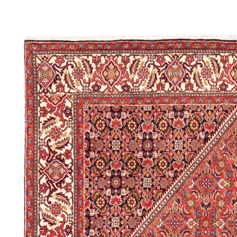 Bidjar - Bukan Teppe 244x168cm - Persisk teppe
