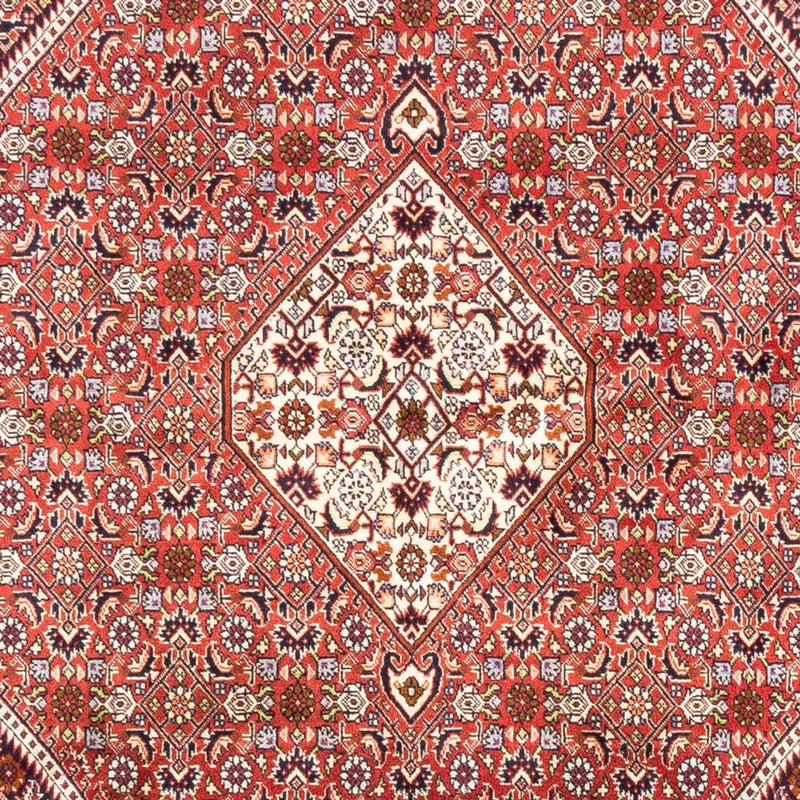 Bidjar - Bukan Teppe 240x168cm - Persisk teppe